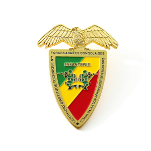 Custom Metal Gold Badge for Forces Armees Congolaises with Brooch